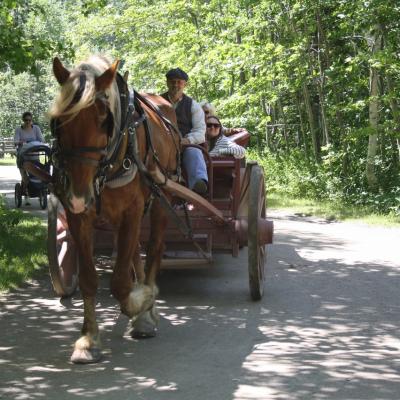 Img 0070 1280x853