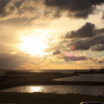 Img 0275 1024x683