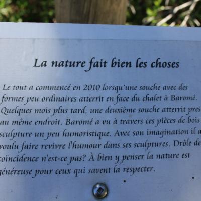 Img 0340 1024x683