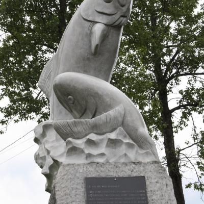 Img 0474 853x1280
