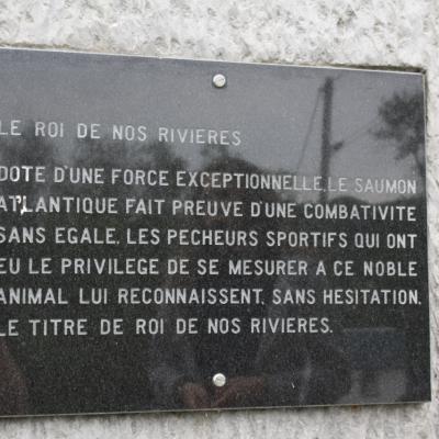 Img 0475 1280x853