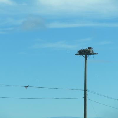 Img 0958 1024x768