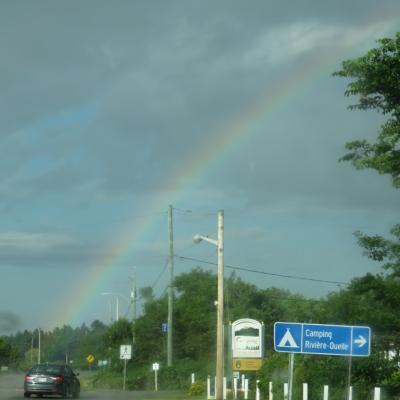 Img 8353 768x1024