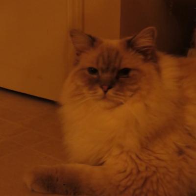 Img 8508 768x1024 1