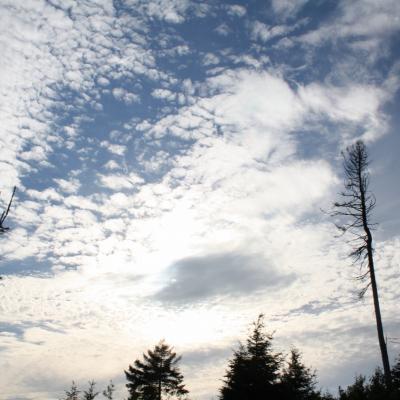 Img 9725 1280x853 2